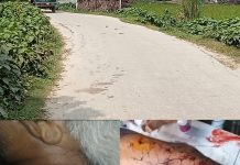 হরিপুরে কৃষককে হত্যার উদ্দেশ্যে মাটিপ করে গুরুত্বর জখম হরিপুরে কৃষককে হত্যার উদ্দেশ্যে মাটিপ করে গুরুত্বর জখম