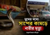 ঠাকুরগাঁওয়ের হরিপুরে ঘুমের মধ্যে সাপের কামড়ে নারীর মৃত্যু