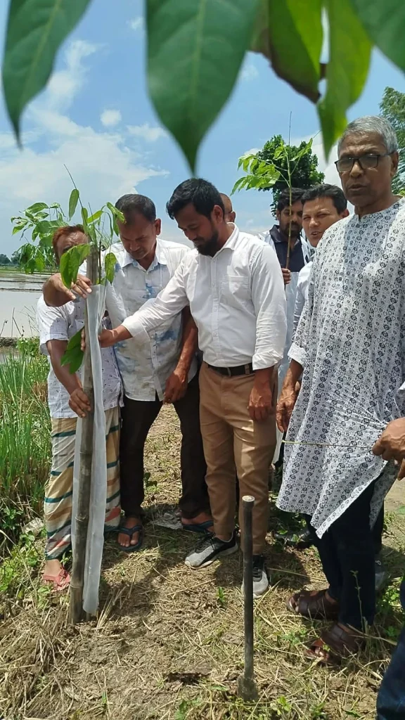 হরিপুরে ১ হাজার ৮৪৪টি গাছের চারা রোপণ কর্মসূচির উদ্বোধন1